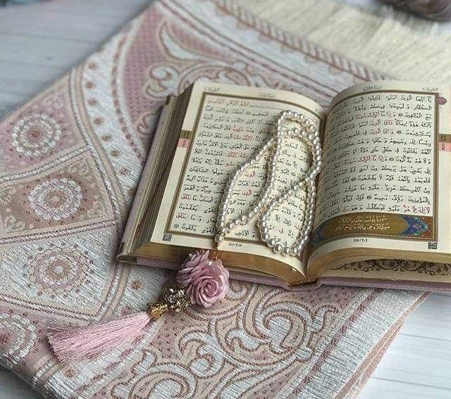 Welcome to Thaqva – No.1 Islamic Store Online for Qurans, Prayer Mats, Abayas, Hijabs & More