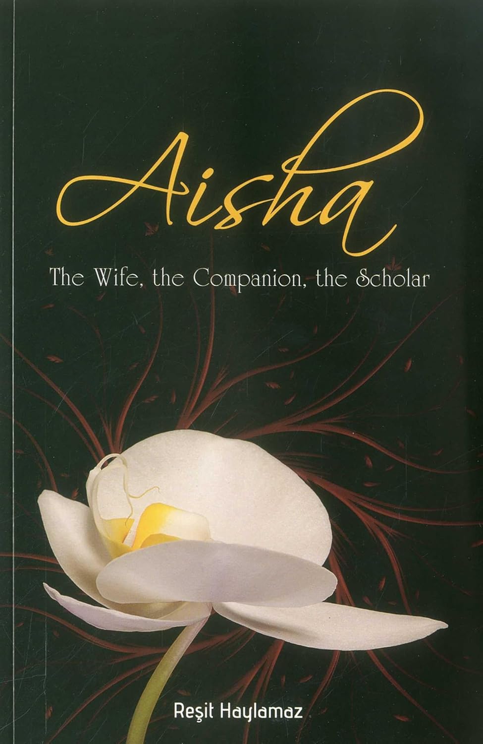 Aisha: The Wife, the Companion, the Scholar Islamic Book
